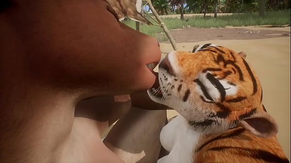 Cow and Tiger make each other squirt – Wildlife
